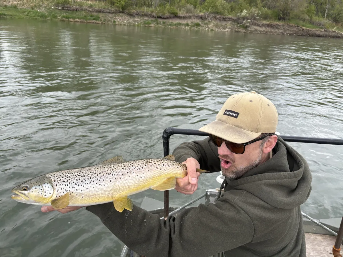 Angler holding a brown trout from the drift boat on a guided Bow River fishing trip near Calgary