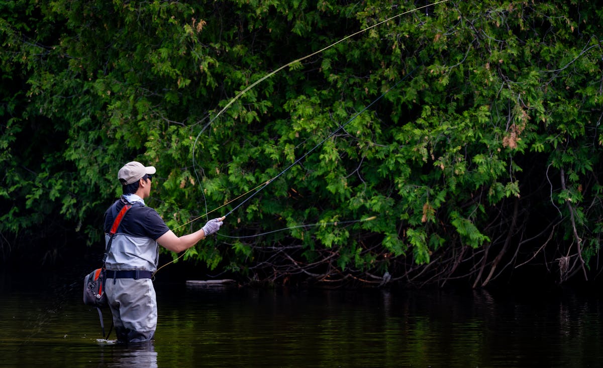 Angler fly fishing in dense forest river setting