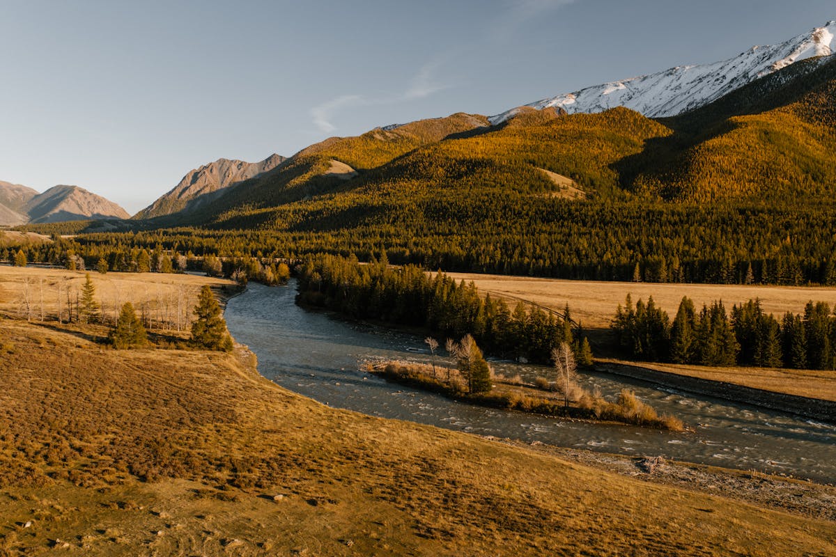 Mountain river with autumn foliage