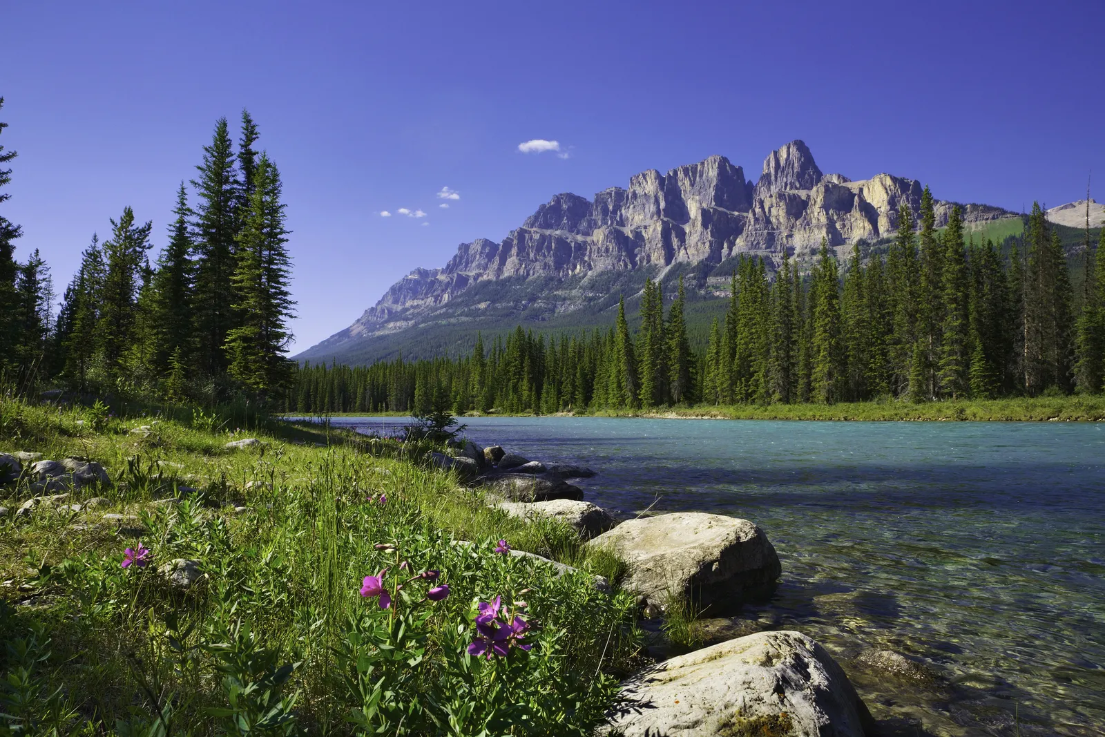 Scenic Bow River near Banff with mountain backdrop - Calgary fly fishing destination