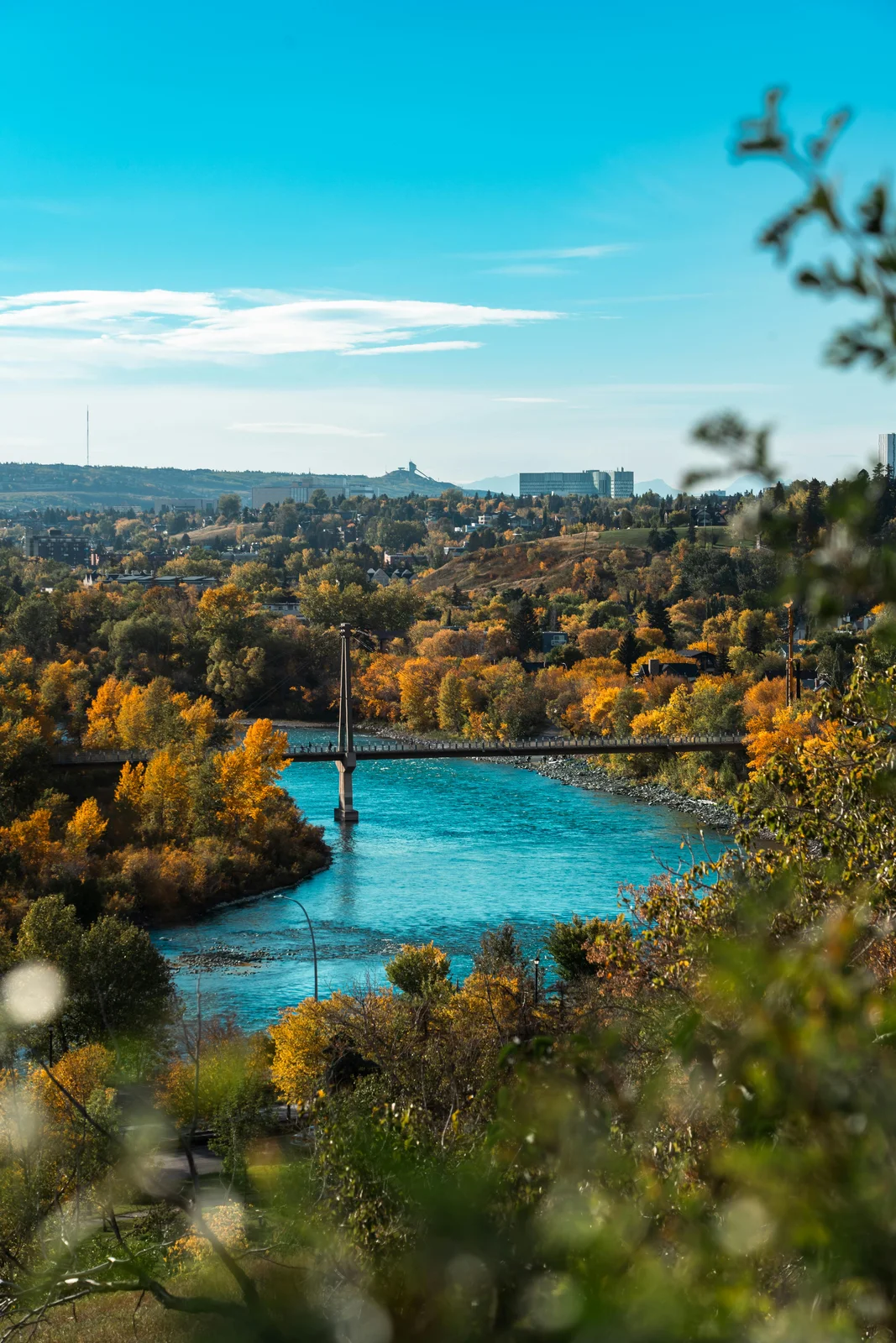 Fall colors along the Bow River with drift boat in the distance
