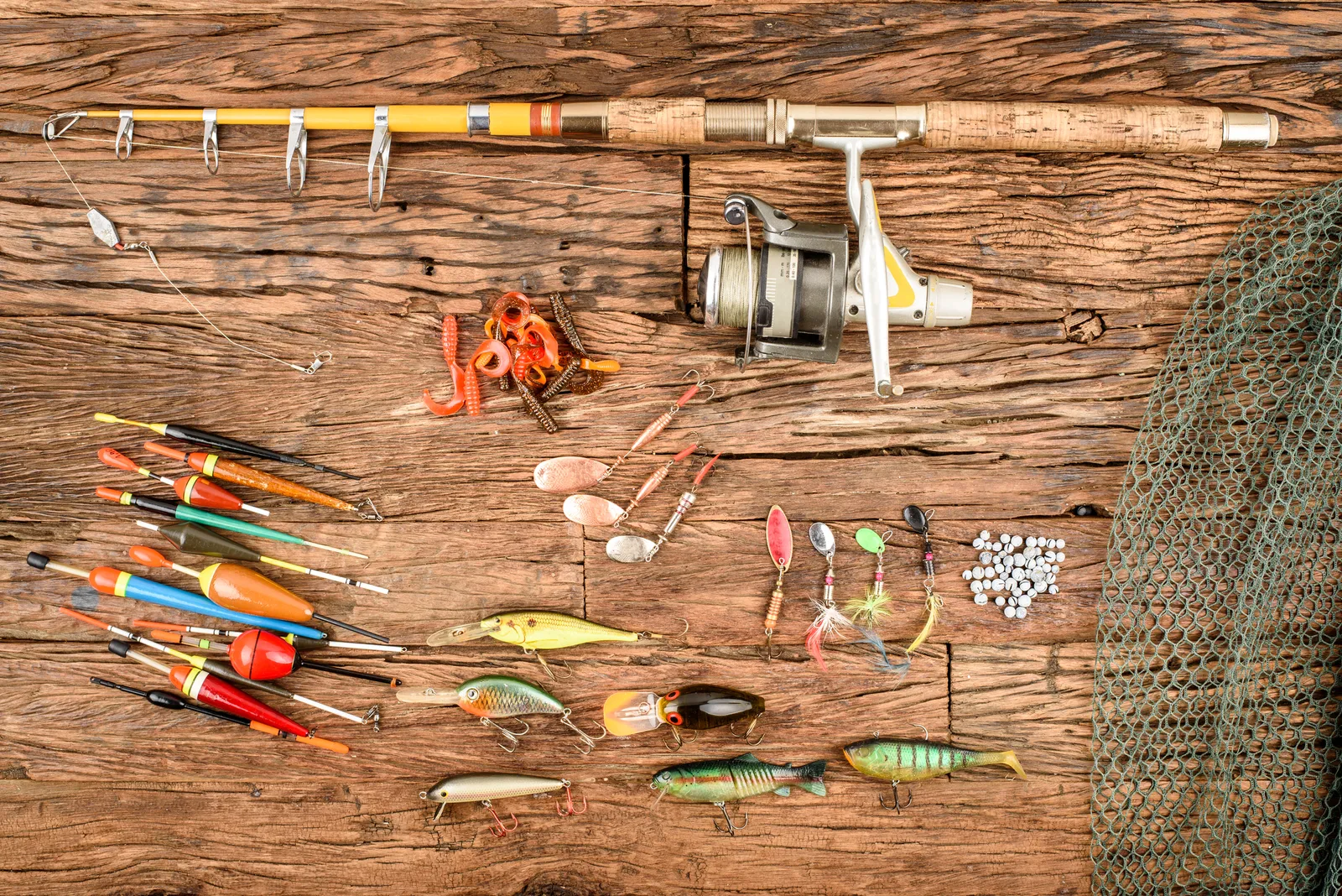 Array of fly fishing equipment including rods, reels, and flies for Bow River fishing
