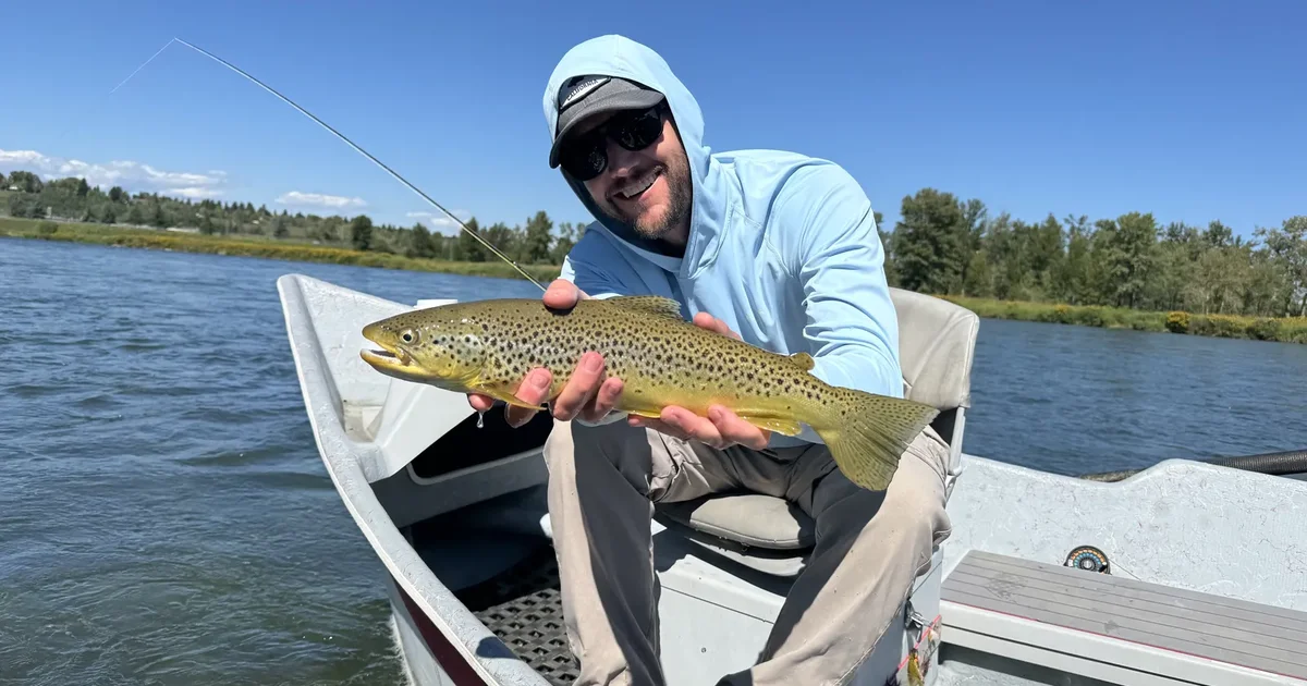 Bow River Fishing Regulations 2026 | King Trout Outfitters