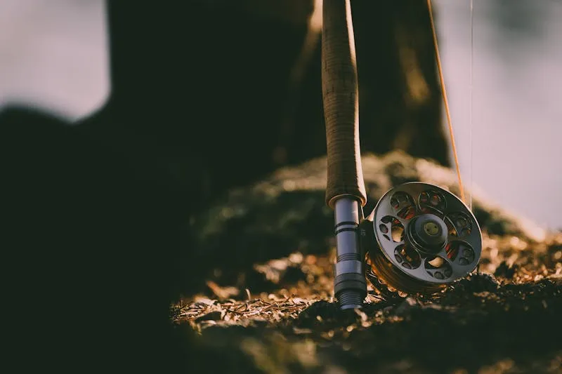 Close-up of a fly fishing rod and reel in warm golden light