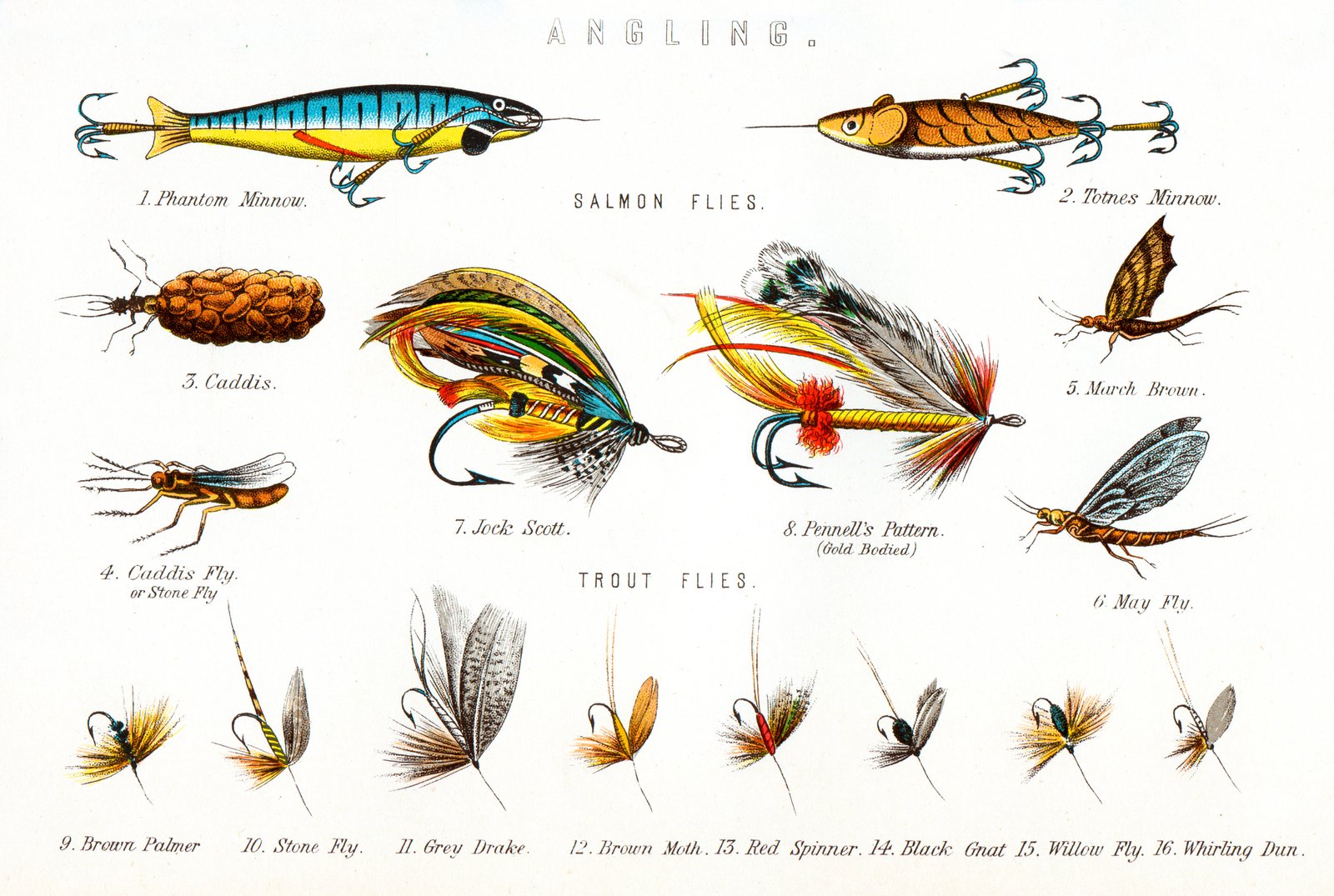 Professional fly selection - King Trout Outfitters Calgary fishing guide expert flies and lures