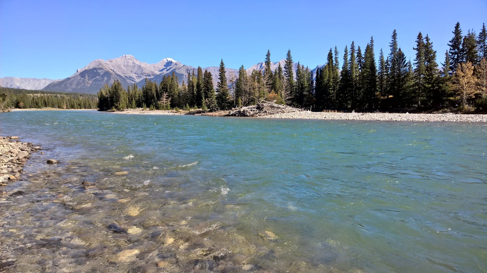 Lower Bow River - King Trout Outfitters downstream Calgary fishing sections