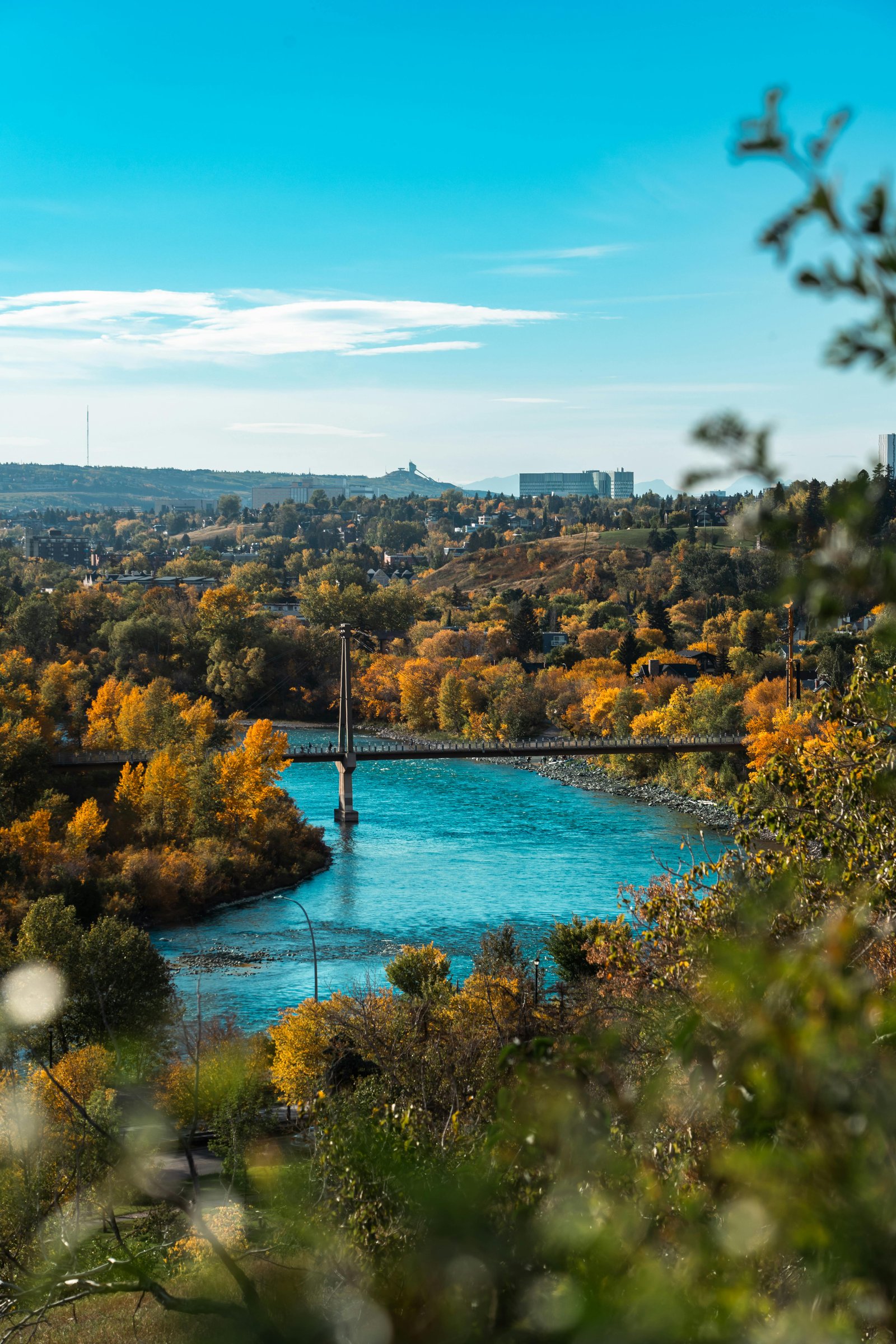Fall Bow River fishing with autumn colors