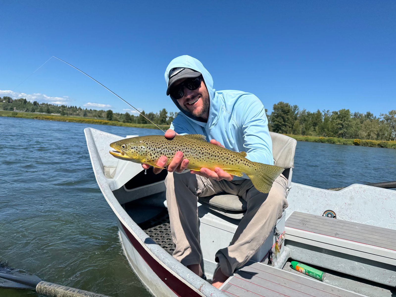 Brown trout showing distinctive markings and coloration